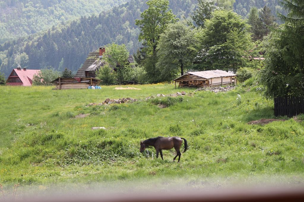 Viva Maria Apartamenty Zakopane Exterior photo